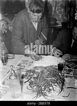 Bezahlen Sie in der Nacht im Rat und Sparrow Club in Eynsford, Kent. - Charlie Meadows zahlt in seinem Fang von Ratten 's Schwänze . Mitglieder erhalten entsprechend der Anzahl der Rattenschwänze in ihrem Fang bezahlt. - 1939 Stockfoto