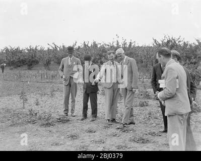 Der rechte ehrenwerte William Shepherd Morrison , der britische Minister für Landwirtschaft, Fischerei und Ernährung (vierte von links) , wird rund um die East Malling Research Station in Kent . - 1937 Stockfoto