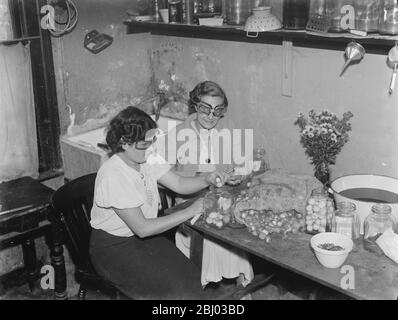 Miss Muriel Haken und Miss Irons schälen Zwiebeln, während sie eine Brille tragen, um sie zu stoppen weinen. - 1938 - Stockfoto