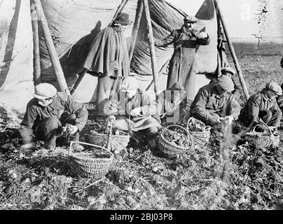 Italienische Bauern arbeiten auf deutschen Feldern. - Tausende von italienischen Bauern, die Hitler von Mussolini "entlehnt" hat, arbeiten auf den Feldern Deutschlands, um dem Reich zu helfen, seine Schwierigkeiten bei der Nahrungsmittelproduktion zu überwinden. - die Woker wurden importiert, weil es einen Mangel an deutschen Landarbeitern gibt. - Fotoausstellungen, italienische Bauern bei der Arbeit auf den Feldern in Mitteldeutschland. - 14. Juli 1939 Stockfoto