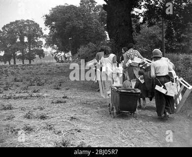 Erdbeerarbeiter früh am Morgen. - 1934 Stockfoto