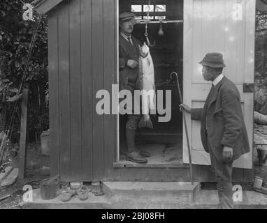 Lachsfischen auf dem Wye in Hampton Bishop. - Wiegen der Fische auf den Stahlhöfen ' etwas über 20lbs ' - 30 September 1922 Stockfoto