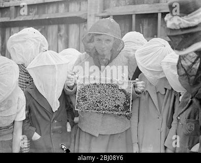 Eine Imkerklasse ist eine Innovation an der Wood Lane, Shepherd's Bush, London Open-Air-Schule. Die Pupillen werden durch Gaze-Gesichtsmasken geschützt und haben die Bienen ohne Angst behandelt. Eine Pupille, die einen Brutrahmen von Bienen hält. - 1. September 1937 Stockfoto