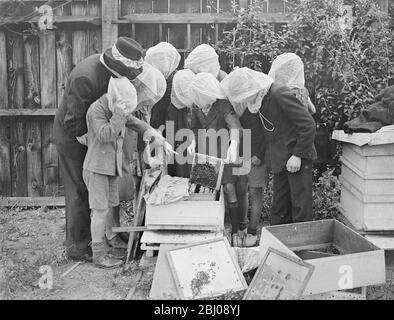 Eine Imkerklasse ist eine Innovation an der Wood Lane, Shepherd's Bush, London Open-Air-Schule. Die Pupillen werden durch Gaze-Gesichtsmasken geschützt und haben die Bienen ohne Angst behandelt. Die Klasse, die als Bienenstock beobachtet, wird geöffnet. Die dunkle Masse an der Oberseite des Rahmens besteht aus Wachs und Honig, auf dem die Bienen im Winter leben. - 1. September 1937 Stockfoto