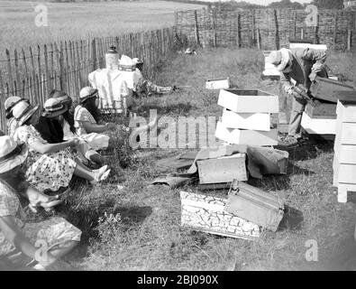 Swanley College Mädchen in Bienenausbildung. - 1934 Stockfoto