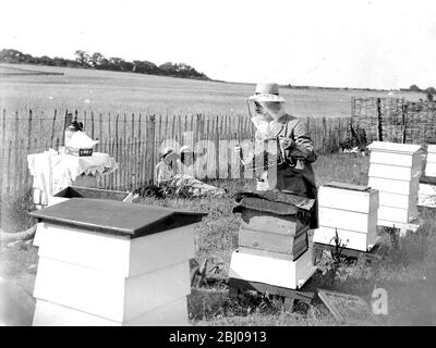 Swanley College Mädchen in Bienenausbildung. - 1934 Stockfoto