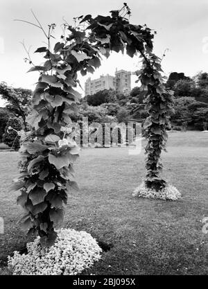 Ein Weinbogen am Powis Castle Powis Castle, Wales. Das Schloss ist in seiner impossierenden Position durch den Bogen im Küchengarten zu sehen. Stockfoto