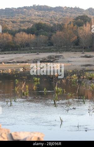 Embalse de Manzanares Stockfoto