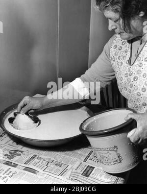 Miss Peggy Macleod Butter machen - Abziehen der Creme aus thee Cremepfannen Beachten Sie, dass sie Skollop Sheel in Daliburgh South Uist Äußere Hebridgen Schottland verwendet - September 1961 Stockfoto