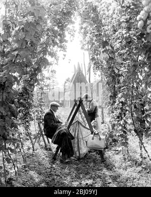 Hopfen pflücken in Paddock Wood Kent, einem der wichtigsten Bilder von John Topham. - 7. September 1962 Stockfoto