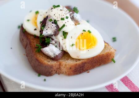 Ein schwedisches klassisches Sandwich mit offenem Gesicht mit geschnittenem, hartgekochtem Ei, gekrönt mit Schwedischen Ansjovis (eingelegte Sprossen), bestreut mit gehacktem Schnittlauch. Stockfoto