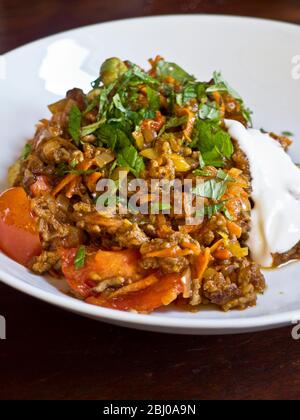 Nahaufnahme von Gericht aus Persian Lamm, gehacktes Lamm mit Gewürzen, in weißer Schüssel mit Joghurt. Stockfoto