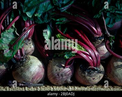 Frische ganze rohe Rote Bete zum Verkauf in Box außerhalb traditionellen Gemüsehändler Shop - Stockfoto