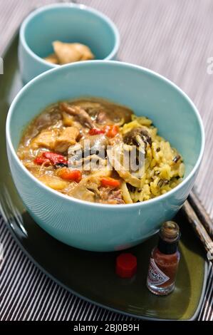 Thai Chicken Curry auf Reis - rekonstituierte amerikanische Regierung Lebensmittelpackung - Stockfoto