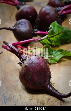 Ganze frische rohe Rote Bete auf Holzbrett - Stockfoto