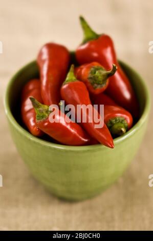 Rote scharfe Chilischoten in grüner Schüssel - Stockfoto