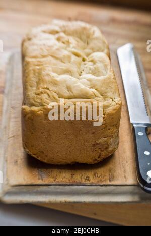 Weißer knuspriger Laib mit Bio-Mehl hergestellt in Elektro-Brotbackautomat auf alten Holz Brottafel mit gezackten Messer - Stockfoto