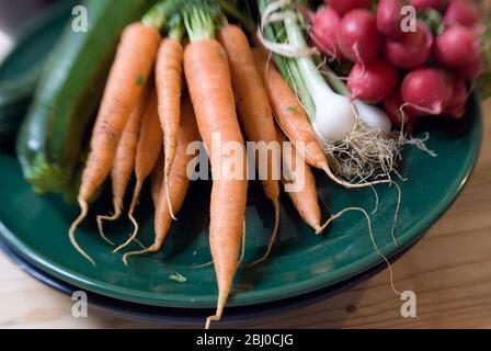 Frisches Gemüse vom Bauernmarkt auf dunkelgrüner Platte - Stockfoto