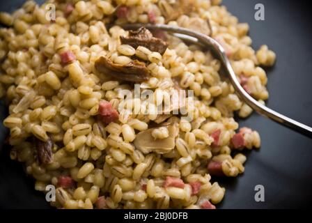 Gerstenrisotto mit getrockneten Pilzen, gewürfeltem Räucherschinken, Zwiebeln und Hühnerbrühe. - Stockfoto