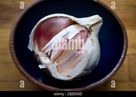 Einzelne Knoblauchzwiebel in einer kleinen Schüssel aufgebrochen - Stockfoto