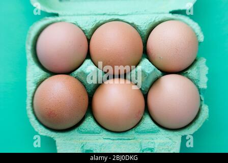 Ein halbes Dutzend Eier in grüner Eierbox. - Stockfoto