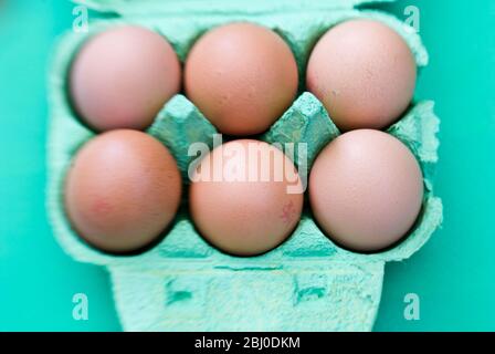 Ein halbes Dutzend Eier in grüner Eierbox. - Stockfoto