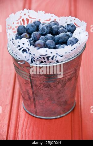 Frische Heidelbeeren in Metalleimer mit Papierdoiley - Stockfoto