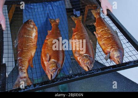 Lachs frisch geräuchert in der Fischräucherei in Donsa, Schweden. Norwegischer Fjordlachs wird nach dem Übersalzen kalt über Erlenholzspänen geräuchert Stockfoto