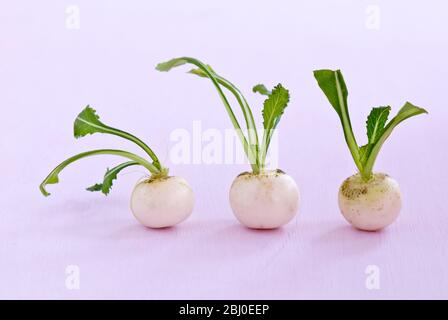 Drei kleine Rüben auf rosa Oberfläche - Stockfoto