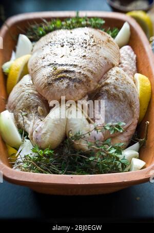 Bio-Hühnchen in Chicken 'Brick' mit Zitronenfeilen, frischem Thymian, Zwiebeln, Gewürzen, Weißwein und Olivenöl, vor dem in den Ofen gegeben - Stockfoto