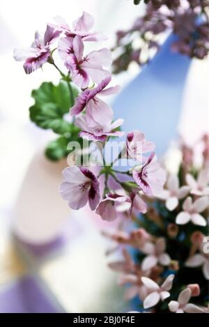 Eine hübsche Tischanordnung aus verschiedenen malvenfarbenen und rosa Blütenblättern in zarten Glasvasen auf Schachbrettfläche - Stockfoto