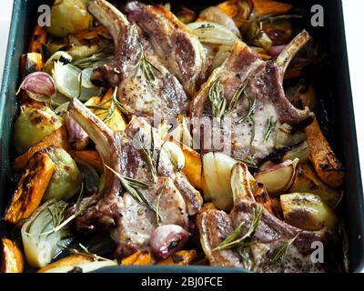 Schweinebraten mit gemischtem Bratgemüse, gewürzt mit schwarzem Pfeffer und frischen Rosmarinzweigen. - Stockfoto