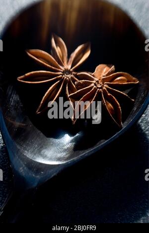 Getrocknete Sternanis in einer kleinen Schüssel. Auch bekannt als Sternanis, badiane oder chinesischer Sternanis. - Stockfoto