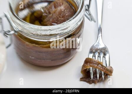 Filets der Sardellen in Öl im Einmachglas, mit einem einzigen Filet auf der Gabel - Stockfoto