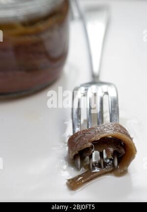 Filets der Sardellen in Öl im Einmachglas, mit einem einzigen Filet auf der Gabel - Stockfoto