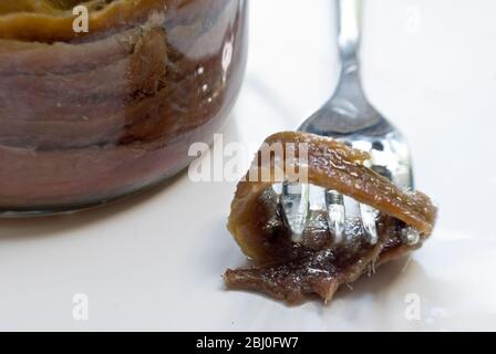 Filets der Sardellen in Öl im Einmachglas, mit einem einzigen Filet auf der Gabel - Stockfoto