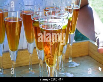 Tablett mit Champagner-Cocktails im Sommer, Hochzeit im Freien - Stockfoto