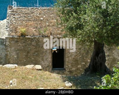 Alte Olivenbäume, neben verlassenen Kirche auf einer kleinen Insel vor der südlichen türkischen Küste. - Stockfoto