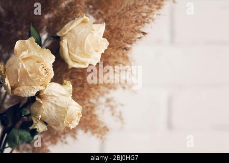 Trockene beigefarbene Rosen und Schilfstrauß auf cremefarbenem Hintergrund Stockfoto