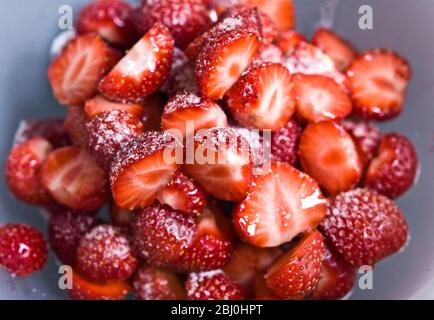 Erdbeeren, in Schüssel geschält und halbiert, mit Zucker bestäubt. - Stockfoto
