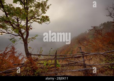 Nebliger Herbstmorgen entlang des Flusses Arda, Rhodopen, Bulgarien Stockfoto