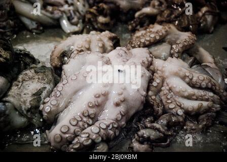 Roher Krake auf der Fischtheke der Markthalle in Limassol, Zypern - Stockfoto