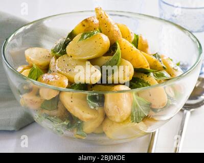 Neuer Kartoffelsalat in Dressing aus Olivenöl, Weinessig und Senf aus Vollkorn, mit Basilikumblättern - Stockfoto