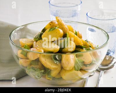 Neuer Kartoffelsalat in Dressing aus Olivenöl, Weinessig und Senf aus Vollkorn, mit Basilikumblättern - Stockfoto