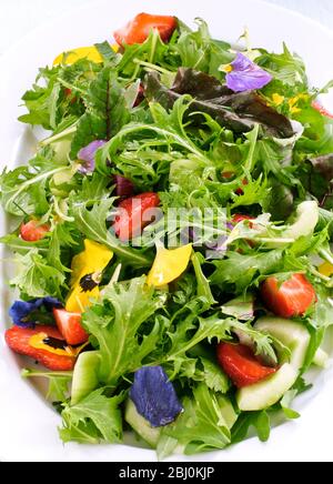 Schöner Salat mit gemischten Babyblättern, Rucola, Gurke, Erdbeeren und Stiefmütterchen - Stockfoto