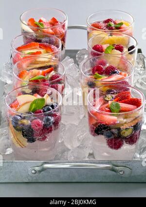 Mineralwasser mit frischem Obst und Beeren in Gläsern Sittin gon zerkleinerten Eis auf Metallschale. - Stockfoto