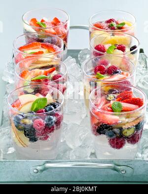 Mineralwasser mit frischem Obst und Beeren in Gläsern Sittin gon zerkleinerten Eis auf Metallschale. - Stockfoto