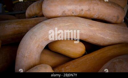 Marrows oder Squashes zum Verkauf in Straßenbauernhof Stall, Süd-Zypern - Stockfoto