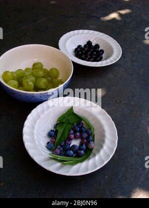 Heidelbeeren, schwarze Johannisbeeren und Stachelbeeren frisch gepflückt in produktiven Sommergarten. Kent UK – Stockfoto