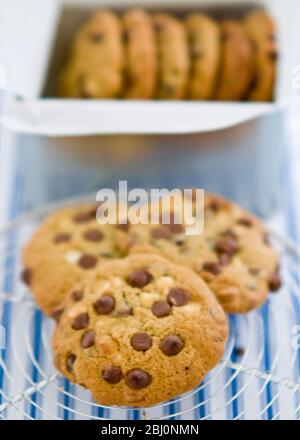 Schokoladenchip-Cookies auf Kühlregal - Stockfoto